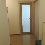 Erceg * سبليت