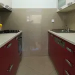 Erceg شقة *