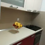 شقة Erceg